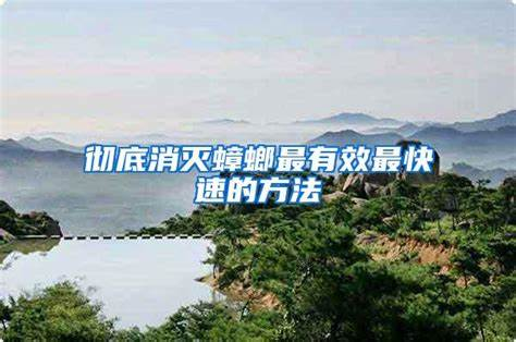 杀灭蟑螂的七种不同办法