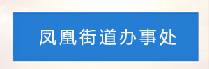 深圳市光明区凤凰街道办事处