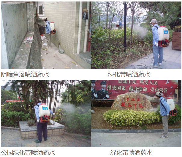 四害防治成功案例