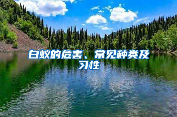 常见白蚁种类及危害