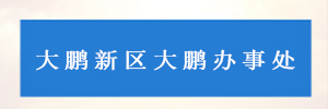 深圳市大鹏新区大鹏办事处