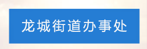 深圳市龙岗区龙城街道办事处