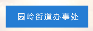 深圳市福田区园岭街道办事处